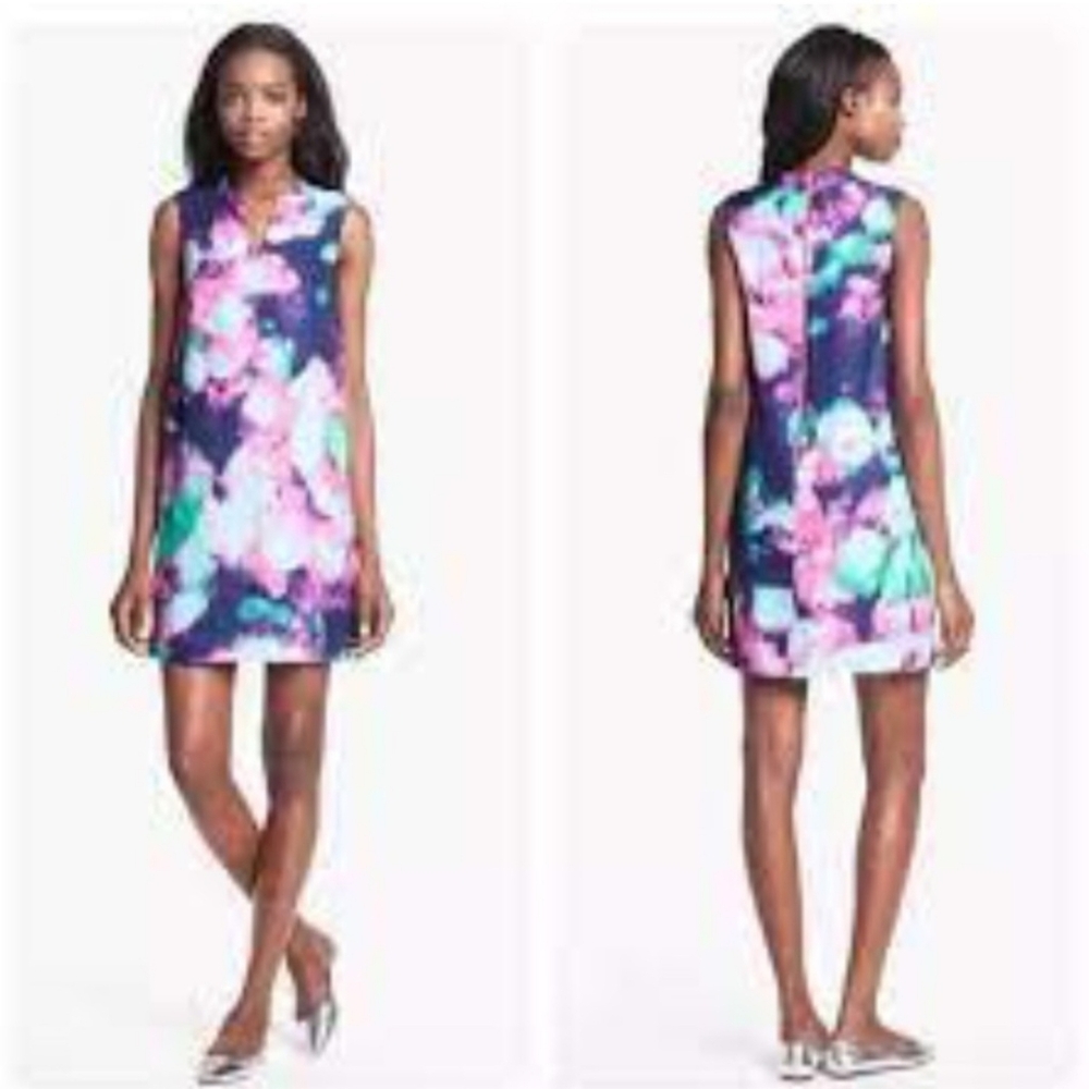 Kate‎ Spade Keri Watercolor Fully Lined Shift Dress Size 6